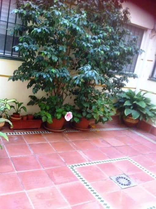 Apartamento Paola เอลปูแอร์โต เด ซานตามาริอา ภายนอก รูปภาพ
