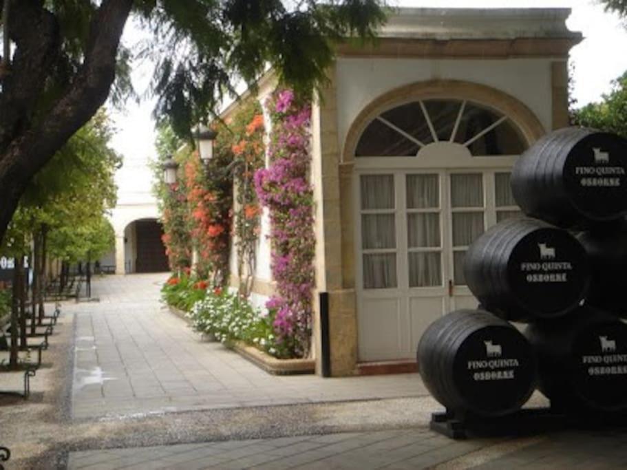 Apartamento Paola เอลปูแอร์โต เด ซานตามาริอา ภายนอก รูปภาพ